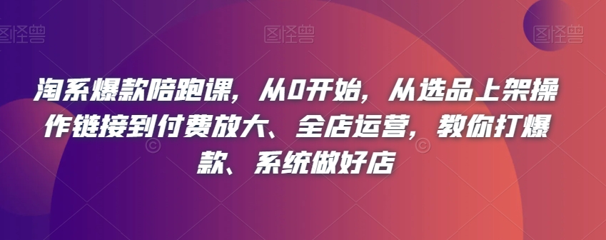 淘系爆款陪跑课，从0开始，从选品上架操作链接到付费放大、全店运营，教你打爆款、系统做好店_海蓝资源库