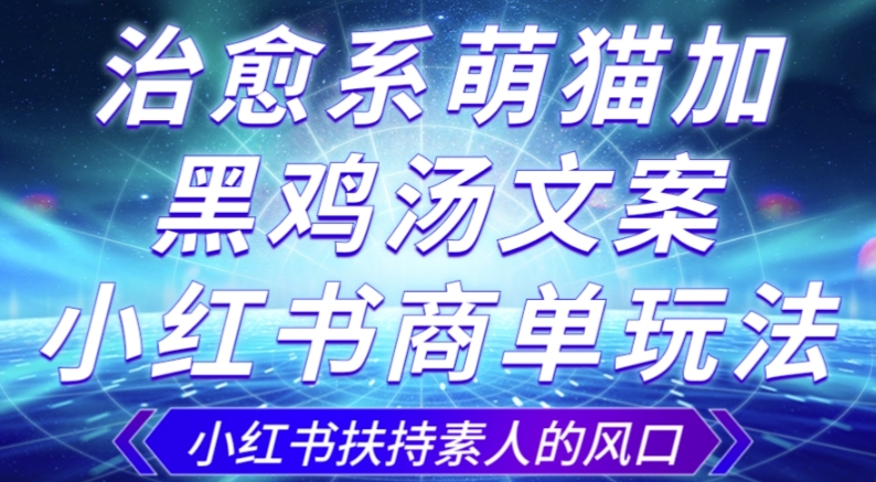 治愈系萌猫加+黑鸡汤文案，小红书商单玩法，3~10天涨到1000粉，一单200左右_海蓝资源库