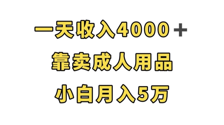 一天收入4000+，靠卖成人用品，小白轻松月入5万【揭秘】_海蓝资源库