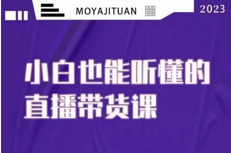 大威本威·能听懂的直播带货课，小白也能听懂，20节完整_海蓝资源库