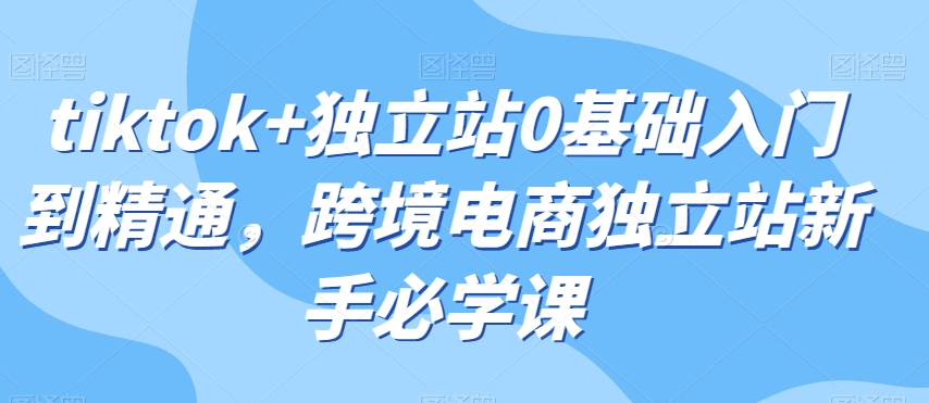 tiktok+独立站0基础入门到精通，跨境电商独立站新手必学课_海蓝资源库