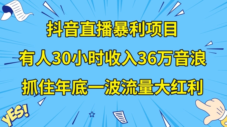 抖音直播暴利项目，有人30小时收入36万音浪，公司宣传片年会视频制作，抓住年底一波流量大红利【揭秘】_海蓝资源库