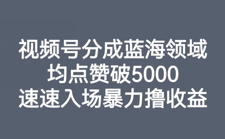 视频号分成蓝海领域，均点赞破5000，速速入场暴力撸收益_海蓝资源库