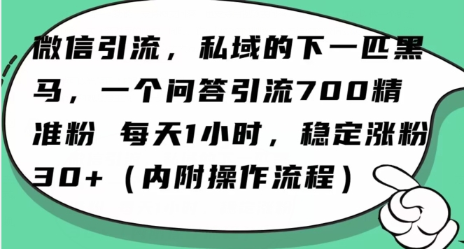 怎么搞精准创业粉？微信新赛道，每天一小时，利用Ai一个问答日引100精准粉_海蓝资源库