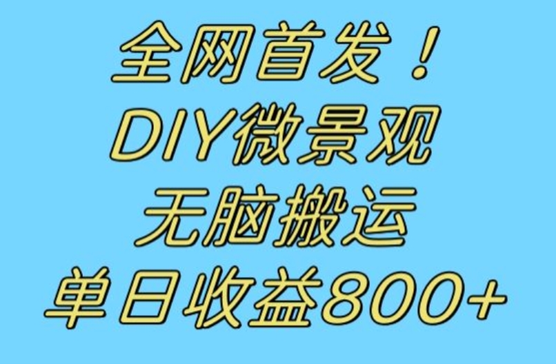 全网首发冷门赛道！DIY微景观，无脑搬运视频，日收益800+【揭秘】_海蓝资源库