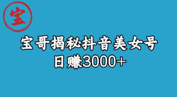 宝哥揭秘抖音美女号玩法，日赚3000+【揭秘】_海蓝资源库