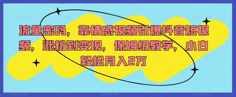 流量密码，靠情感视频引爆抖音短视频，涨粉到变现，保姆级教学，小白轻松月入2万【揭秘】_海蓝资源库