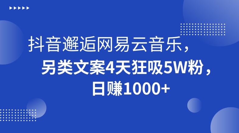 抖音邂逅网易云音乐，另类文案4天狂吸5W粉，日赚1000+【揭秘】_海蓝资源库