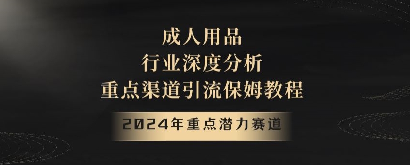 2024年重点潜力赛道，成人用品行业深度分析，重点渠道引流保姆教程【揭秘】_海蓝资源库