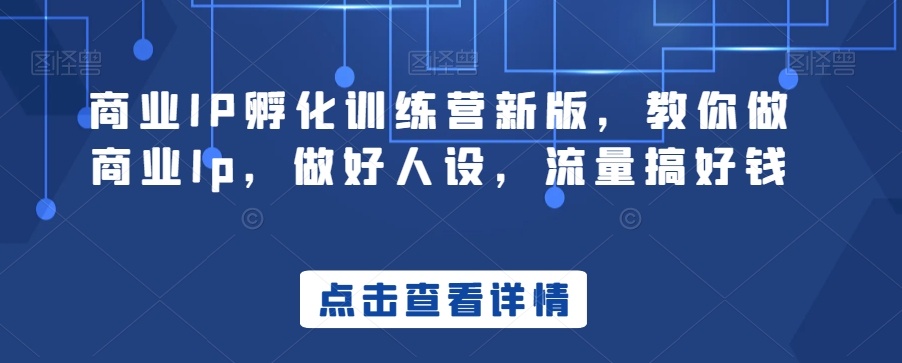 商业IP孵化训练营新版，教你做商业Ip，做好人设，流量搞好钱_海蓝资源库