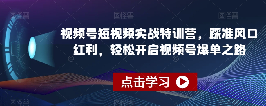 视频号短视频实战特训营，踩准风口红利，轻松开启视频号爆单之路_海蓝资源库