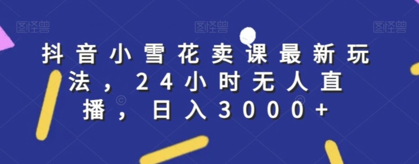 抖音小雪花卖课最新玩法，24小时无人直播，日入3000+【揭秘】_海蓝资源库