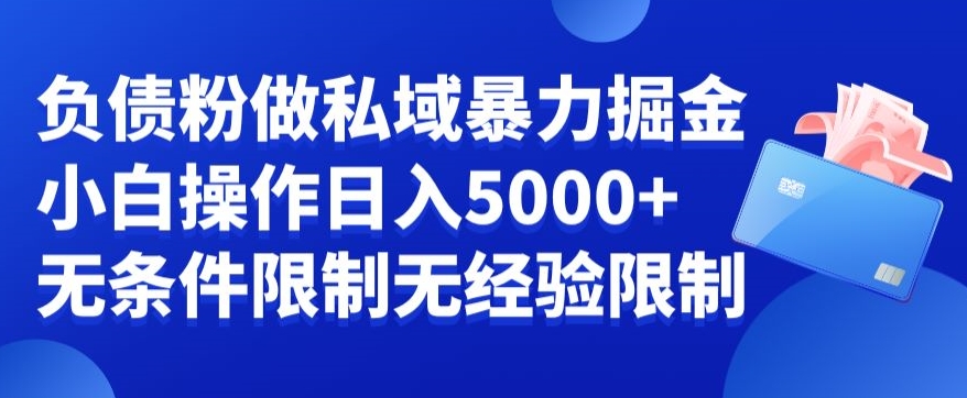 负债粉私域暴力掘金，小白操作入5000，无经验限制，无条件限制【揭秘】_海蓝资源库