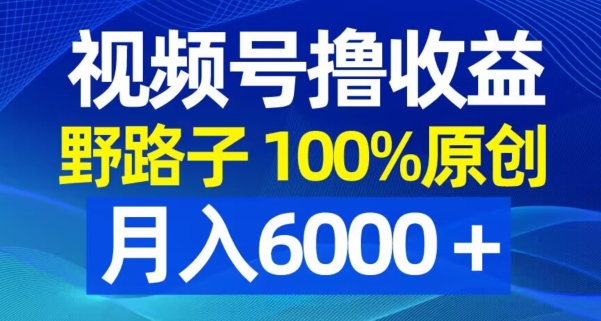 视频号野路子撸收益，100%原创，条条爆款，月入6000＋【揭秘】_海蓝资源库