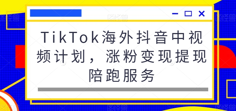 TikTok海外抖音中视频计划，涨粉变现提现陪跑服务_海蓝资源库