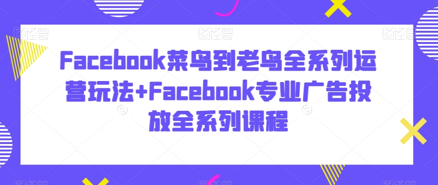 Facebook菜鸟到老鸟全系列运营玩法+Facebook专业广告投放全系列课程_海蓝资源库