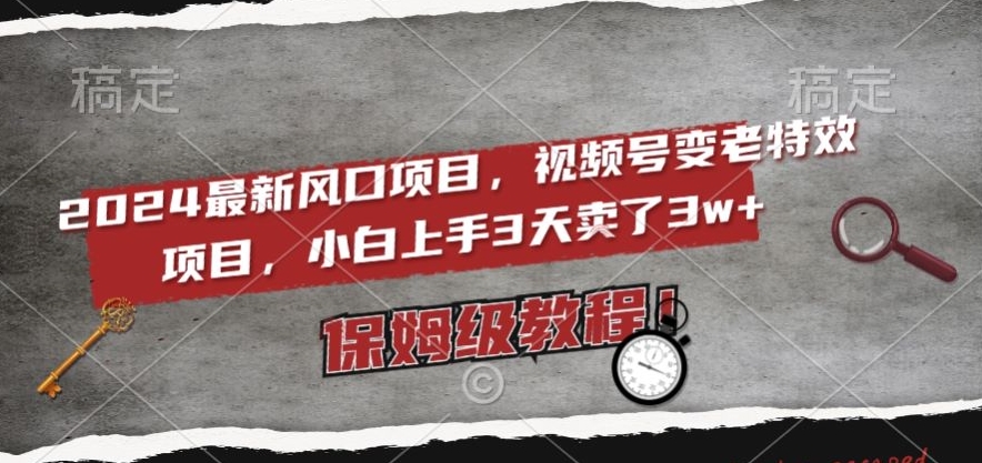 2024最新风口项目，视频号变老特效项目，电脑小白上手3天卖了3w+，保姆级教程【揭秘】_海蓝资源库