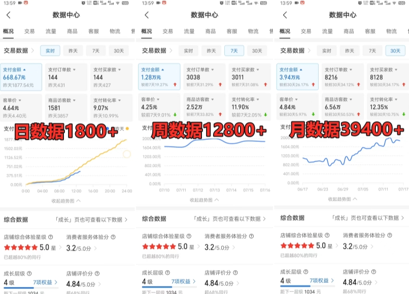 拼多多虚拟电商训练营月入30000+你也行，暴利稳定长久，副业首选_海蓝资源库