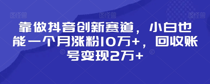 靠做抖音创新赛道，小白也能一个月涨粉10万+，回收账号变现2万+【揭秘】_海蓝资源库