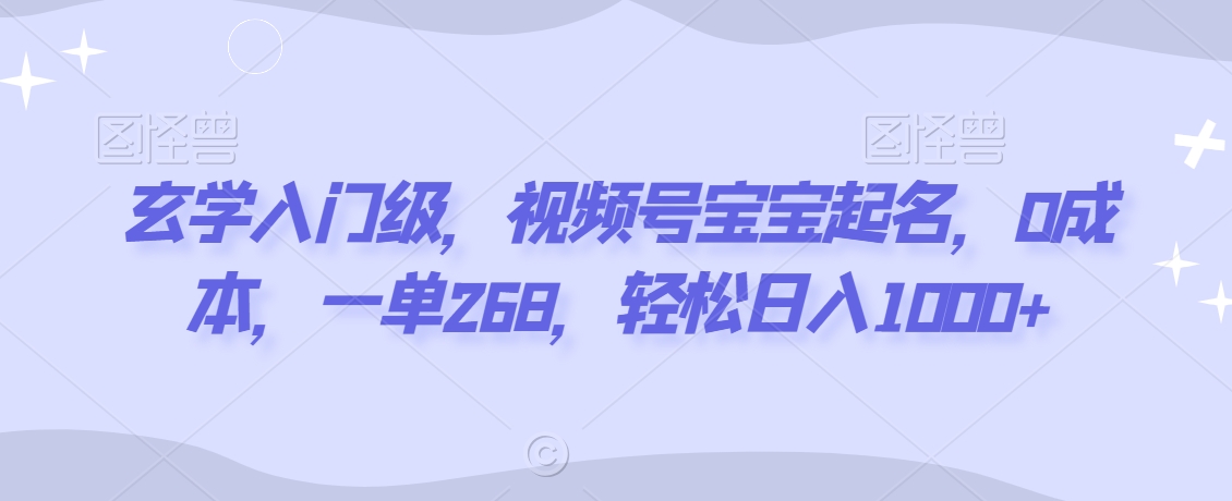 玄学入门级，视频号宝宝起名，0成本，一单268，轻松日入1000+【揭秘】_海蓝资源库