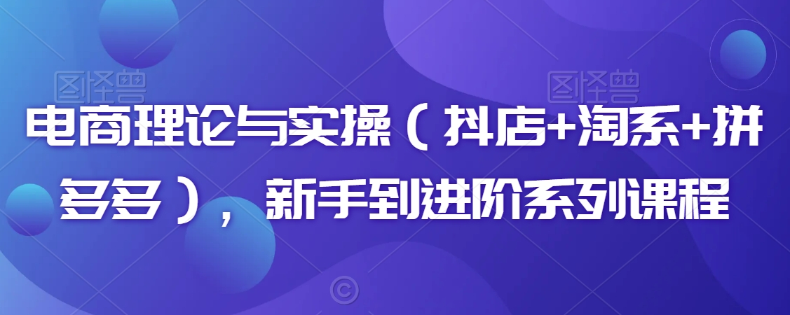 电商理论与实操（抖店+淘系+拼多多），新手到进阶系列课程_海蓝资源库