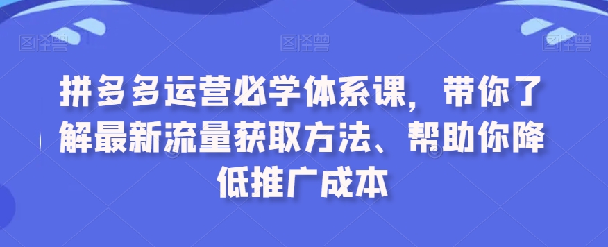 拼多多运营必学体系课，带你了解最新流量获取方法、帮助你降低推广成本_海蓝资源库