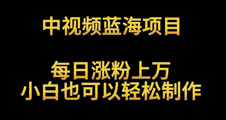 中视频蓝海项目，解读英雄人物生平，每日涨粉上万，小白也可以轻松制作，月入过万不是梦【揭秘】_海蓝资源库