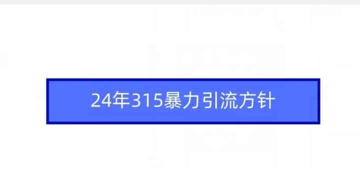 24年315暴力引流方针_海蓝资源库