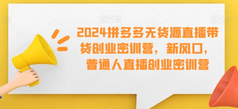 2024拼多多无货源直播带货创业密训营，新风口，普通人直播创业密训营_海蓝资源库