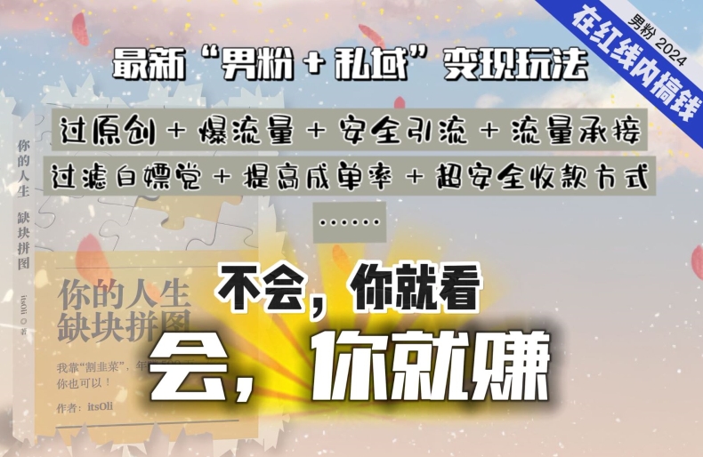 2024，“男粉+私域”还是最耐造、最赚、最轻松、最愉快的变现方式【揭秘】_海蓝资源库