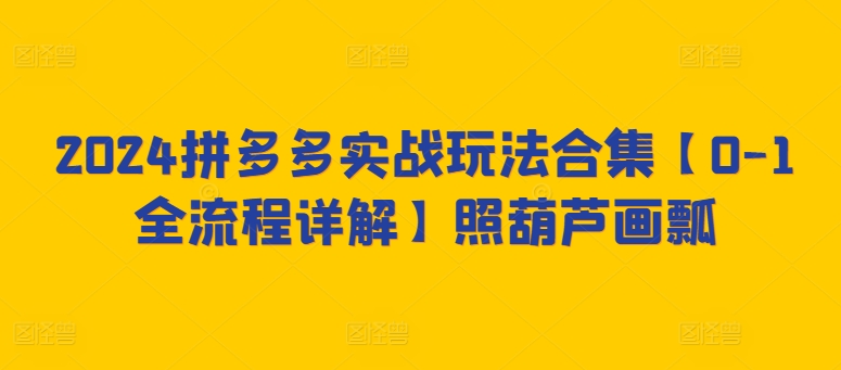 2024拼多多实战玩法合集【0-1全流程详解】照葫芦画瓢_海蓝资源库