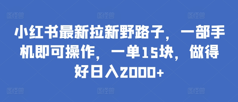 小红书最新拉新野路子，一部手机即可操作，一单15块，做得好日入2000+【揭秘】_海蓝资源库