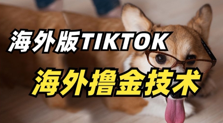 抖音海外版tiktok撸金技术，这个风口行业，赚钱真的不难【揭秘】_海蓝资源库