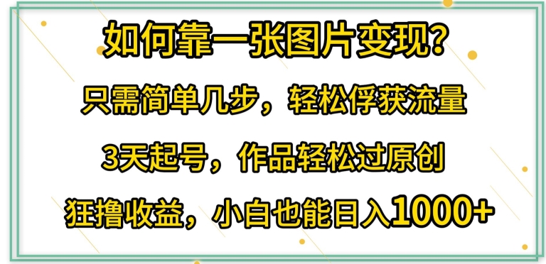 如何靠一张图片变现?只需简单几步，轻松俘获流量，3天起号，作品轻松过原创【揭秘】_海蓝资源库