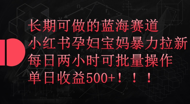 长期可做的蓝海赛道，小红书孕妇宝妈暴力拉新玩法，每日两小时可批量操作，单日收益500+【揭秘】_海蓝资源库