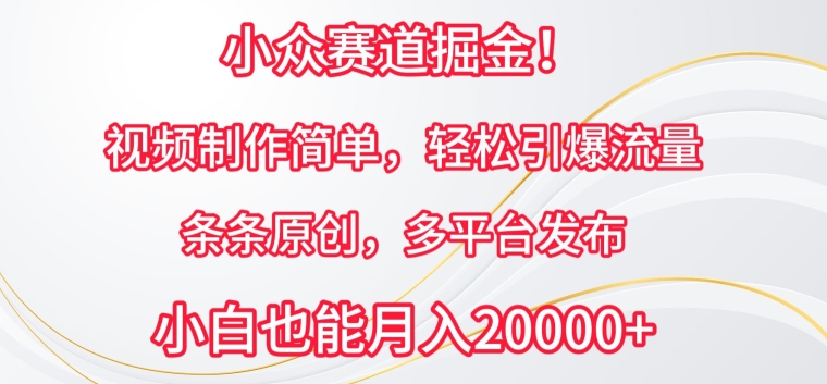 小众赛道掘金，视频制作简单，轻松引爆流量，条条原创，多平台发布【揭秘】_海蓝资源库