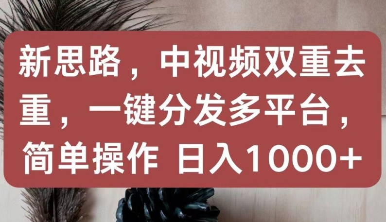 新思路，中视频双重去重，一键分发多平台，简单操作，日入1000+【揭秘】_海蓝资源库