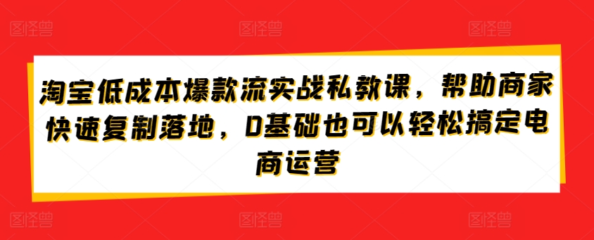 淘宝低成本爆款流实战私教课，帮助商家快速复制落地，0基础也可以轻松搞定电商运营_海蓝资源库