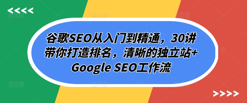 谷歌SEO从入门到精通，30讲带你打造排名，清晰的独立站+Google SEO工作流_海蓝资源库