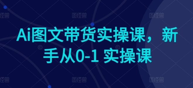 Ai图文带货实操课，新手从0-1 实操课_海蓝资源库