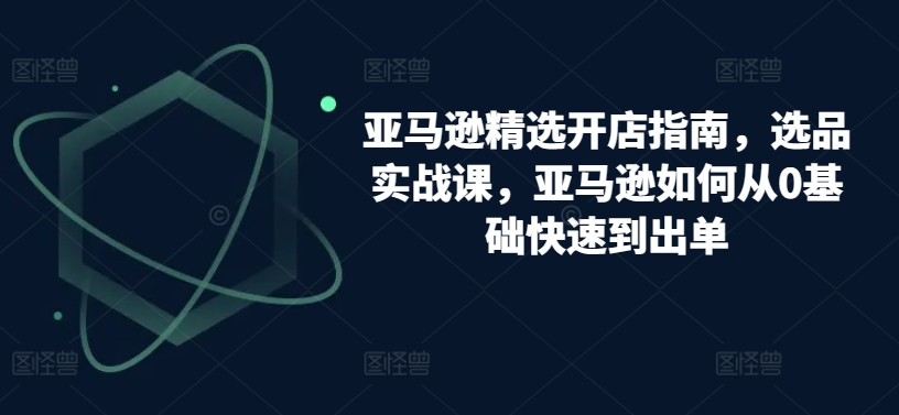 亚马逊精选开店指南，选品实战课，亚马逊如何从0基础快速到出单_海蓝资源库