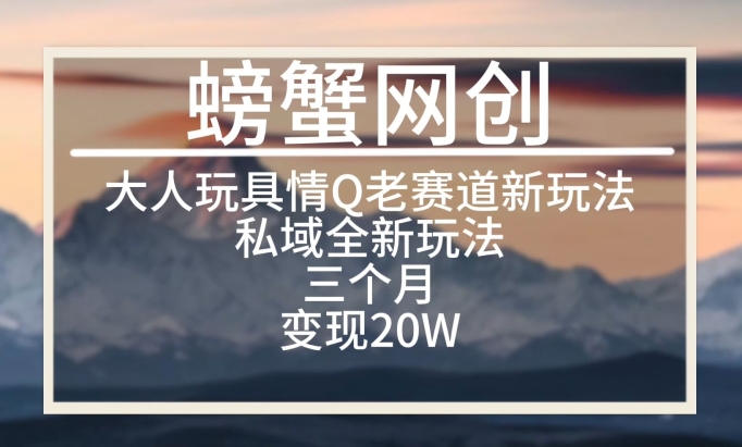 大人玩具情Q用品赛道私域全新玩法，三个月变现20W，老项目新思路【揭秘】_海蓝资源库