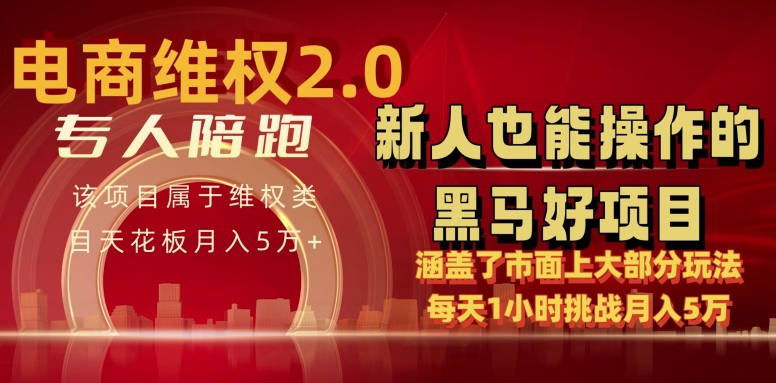 电商维权 4.0 如何做到月入 5 万+每天 1 小时新人也能快速上手【仅揭秘】_海蓝资源库