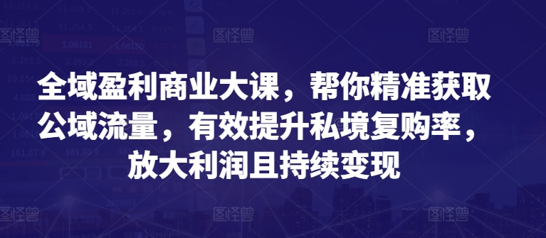 全域盈利商业大课，帮你精准获取公域流量，有效提升私境复购率，放大利润且持续变现_海蓝资源库