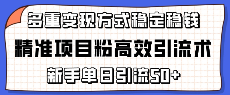 精准项目粉高效引流术，新手单日引流50+，多重变现方式稳定赚钱【揭秘】_海蓝资源库