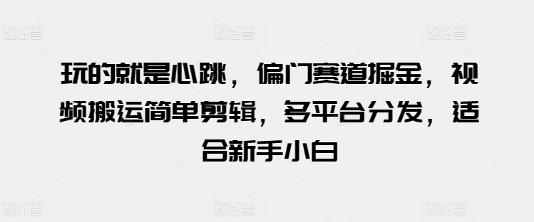 玩的就是心跳，偏门赛道掘金，视频搬运简单剪辑，多平台分发，适合新手小白【揭秘】_海蓝资源库