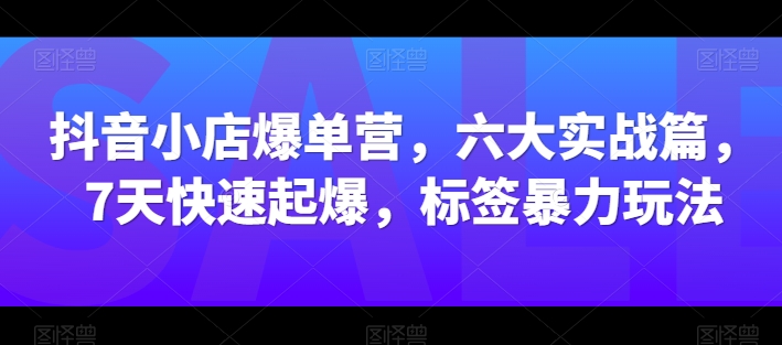 抖音小店爆单营，六大实战篇，7天快速起爆，标签暴力玩法_海蓝资源库