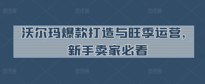 沃尔玛爆款打造与旺季运营，新手卖家必看_海蓝资源库