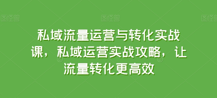 私域流量运营与转化实战课，私域运营实战攻略，让流量转化更高效_海蓝资源库