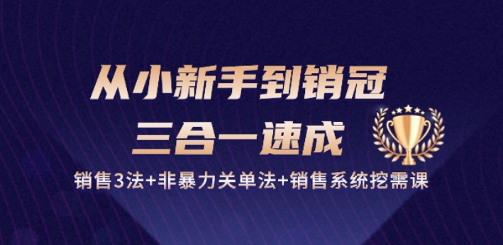 从小新手到销冠 三合一速成：销售3法+非暴力关单法+销售系统挖需课 (27节)_海蓝资源库